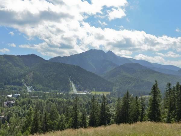 Apartament Antolka Zakopane Dış mekan fotoğraf